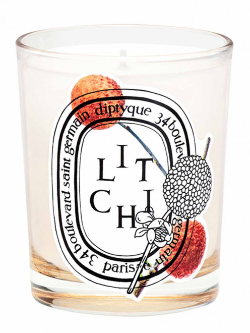 Свеча Litchi Limited Edition, 190 г Diptyque - Общий вид